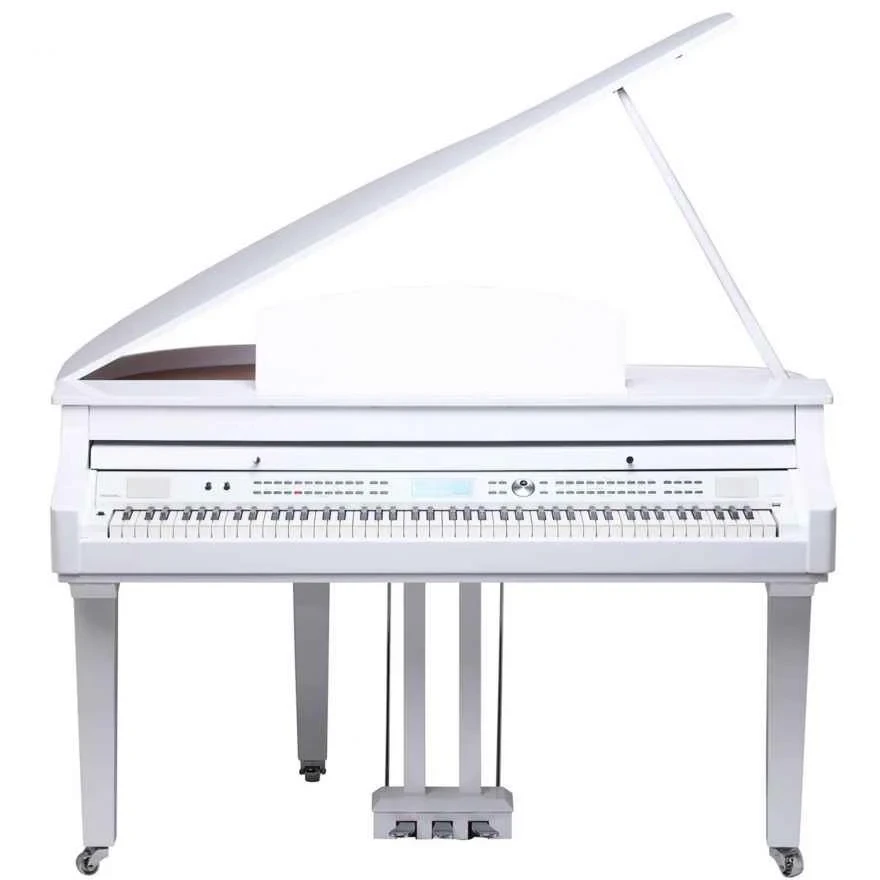 Medeli Grand 510 GW