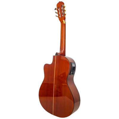 Winzz AC309CE Electro-Classic