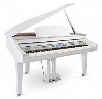 Medeli Grand 510 GW