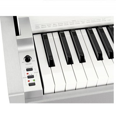 Thomann DP-33 WH