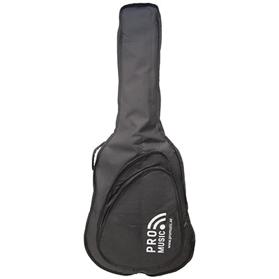 Promusic BGG610 (Акустика)