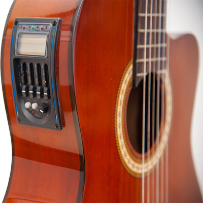 Winzz AC309CE Electro-Classic