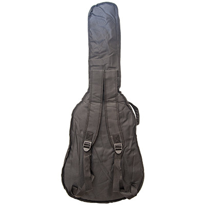 Promusic BGG610 (Акустика)