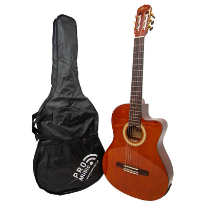 Winzz AC309CE Electro-Classic