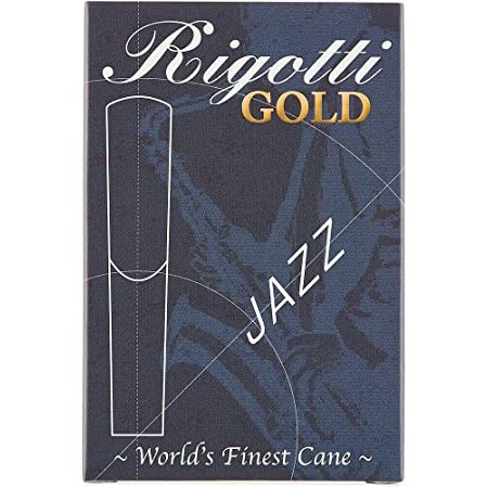 Rigotti RG.JSA.3 Alt sax