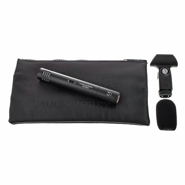 Audio-Technica AT2031