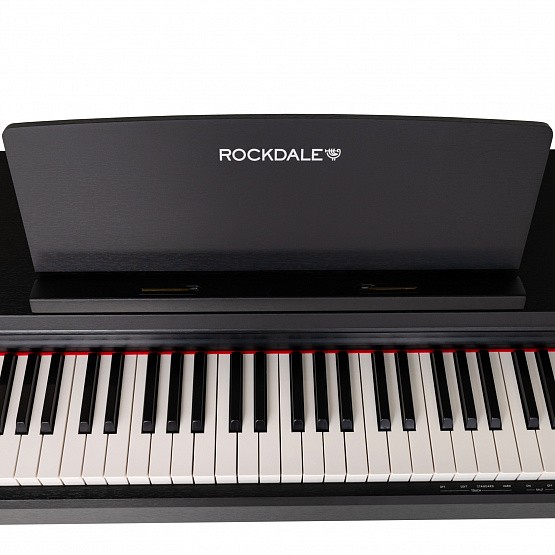 ROCKDALE Arietta Black