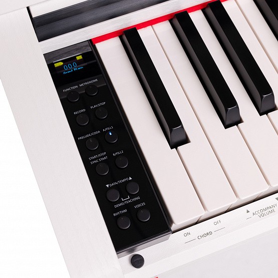 ROCKDALE Toccata White