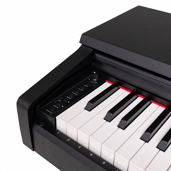 ROCKDALE Arietta Black