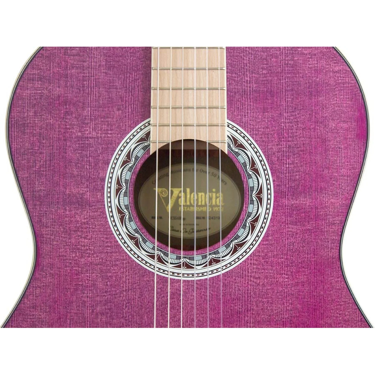 Valencia VC354PP Classical Guitar, Purple