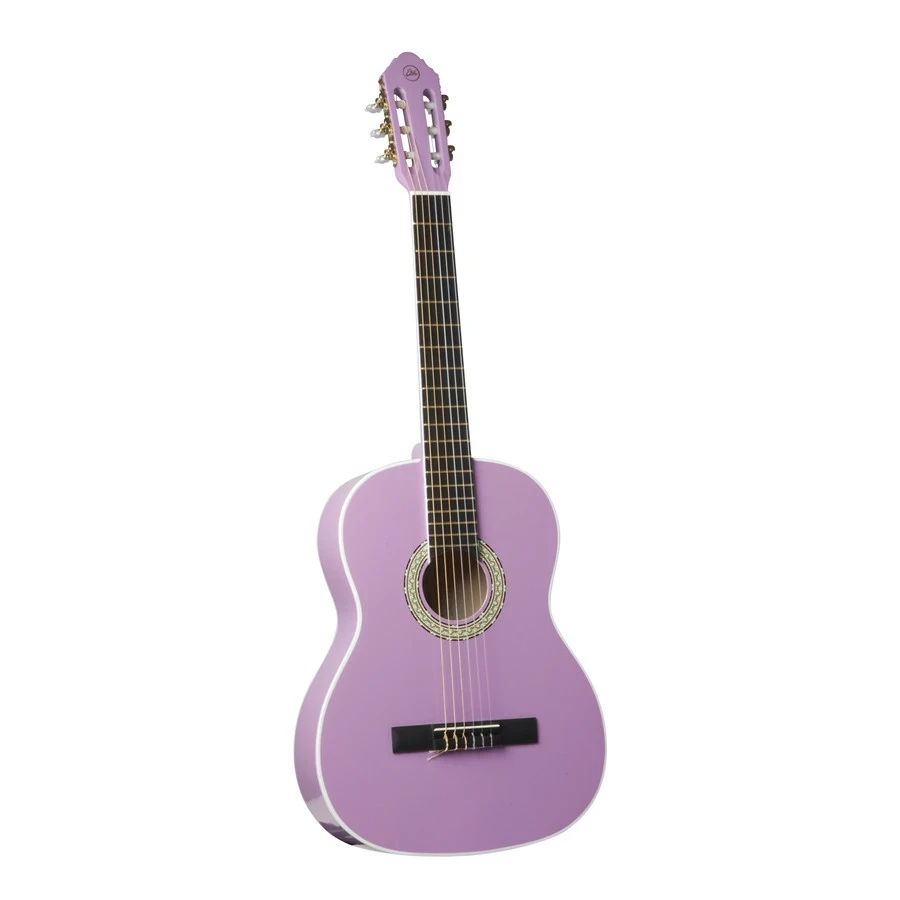 EKO GUITARS - CS-10 VIOLET