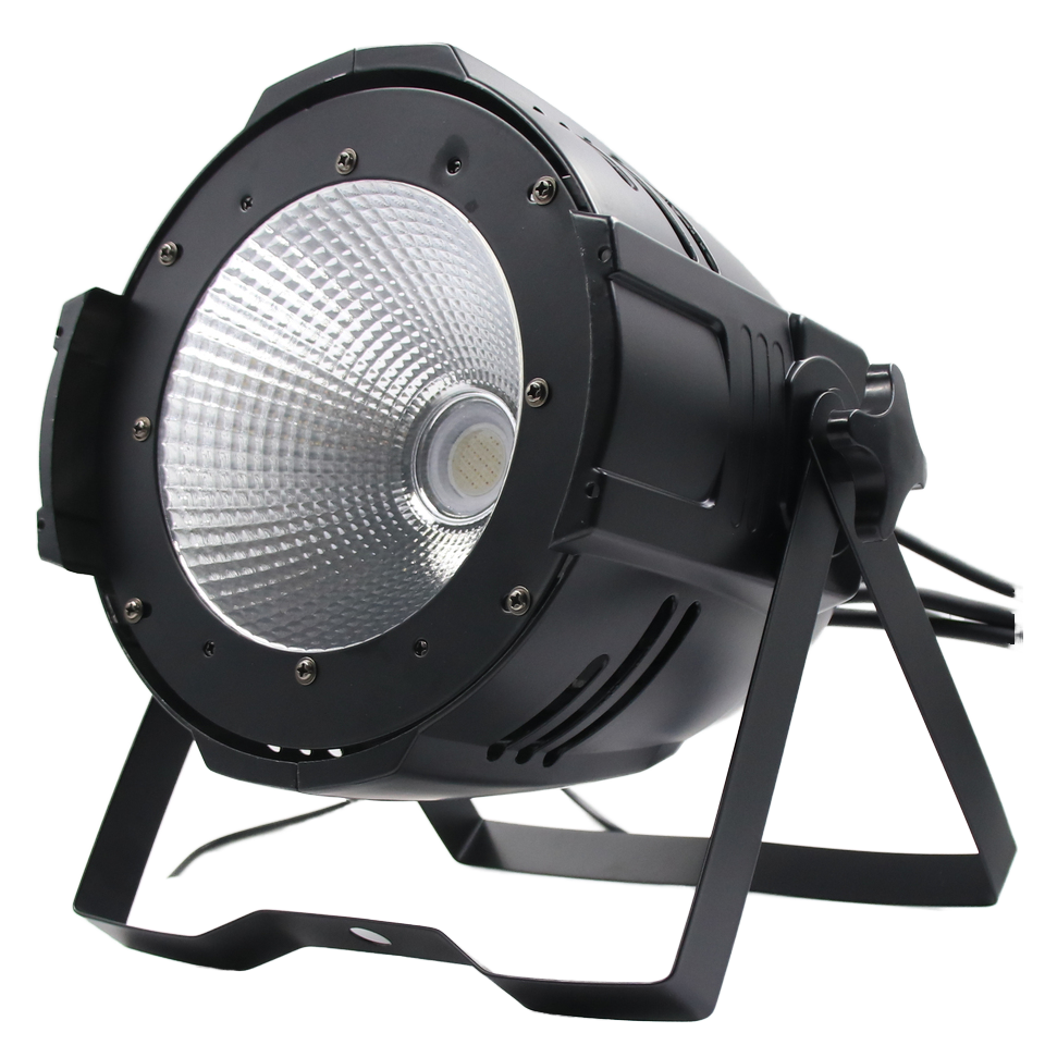 PM LIGHTING COB100RGBW