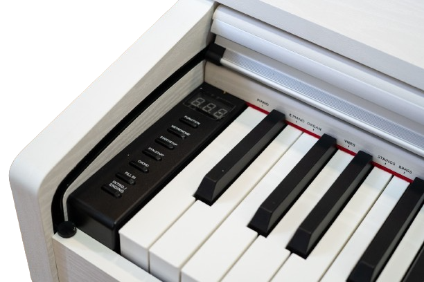Presto DK-150 White