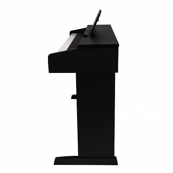 ROCKDALE Arietta Black